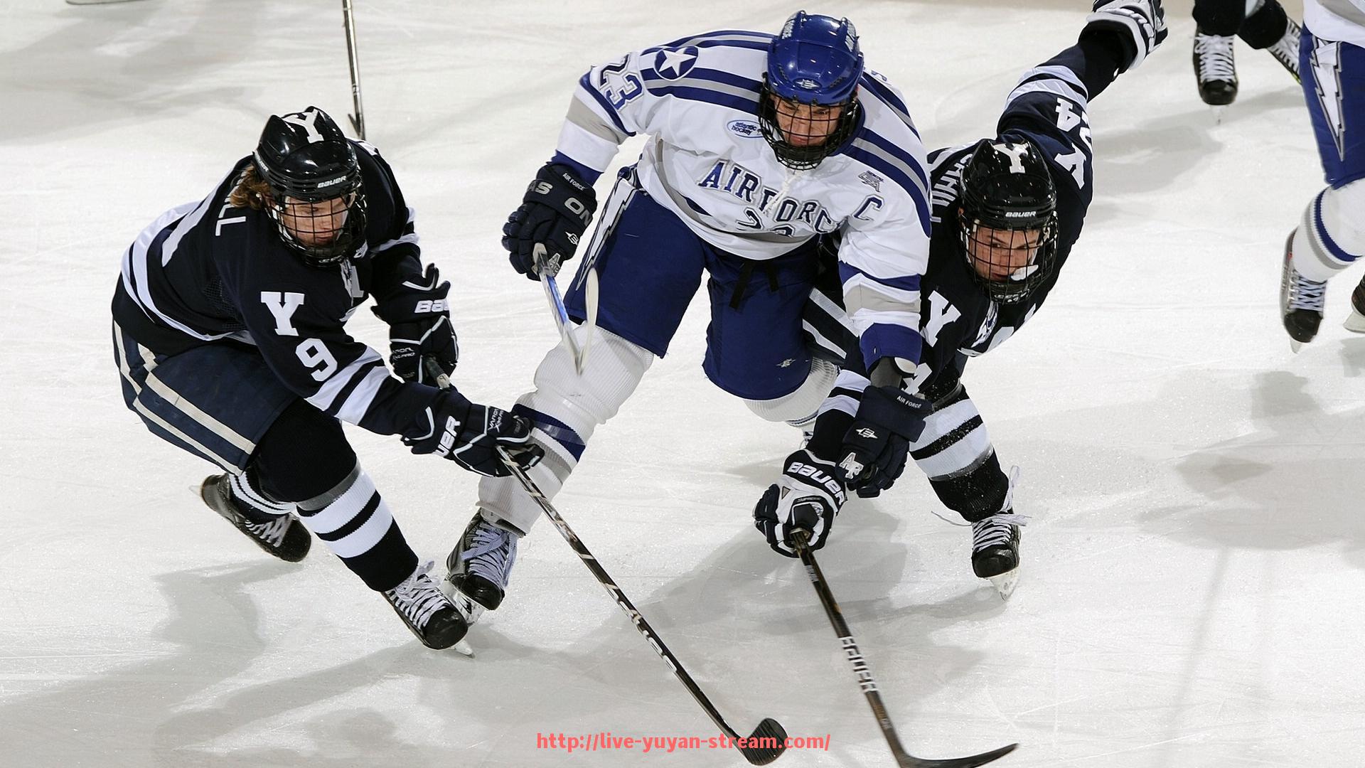 雨燕直播-火箭队9月重要赛程全解析及球队备战情况报道