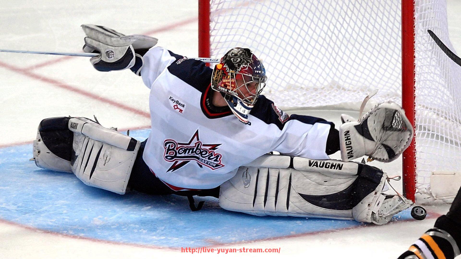 雨燕直播-德甲球队英文简称的起源与实际应用