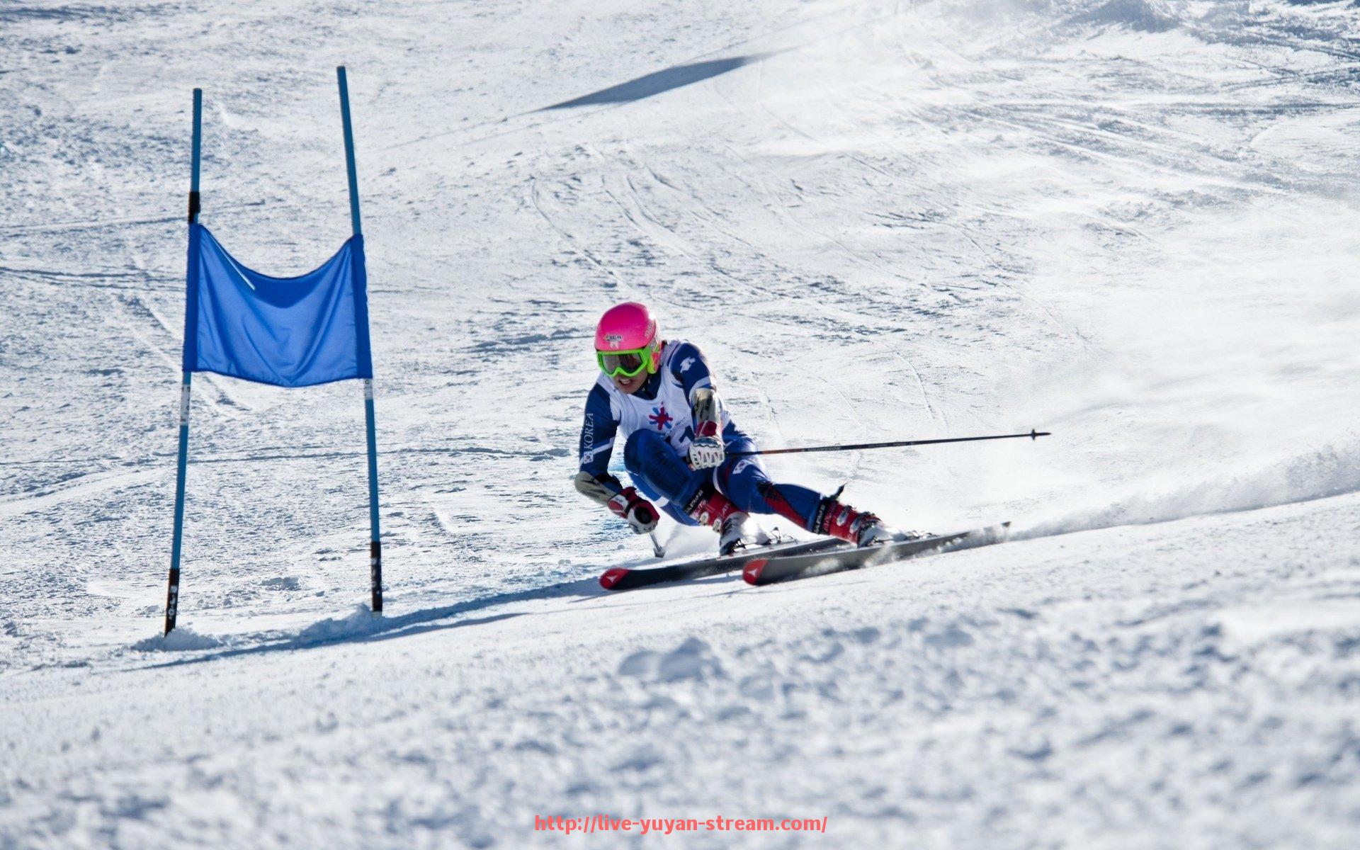 雨燕直播-世俱杯比赛中断场景应急处理流程及裁决机制说明