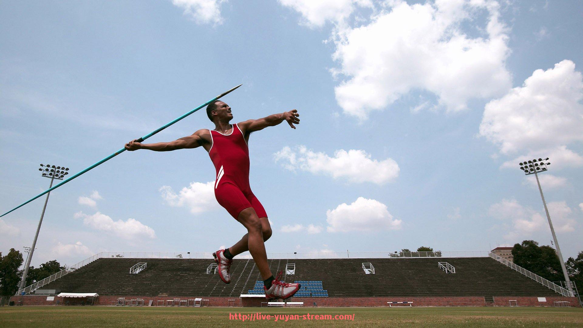 雨燕直播-法甲球队青训体系建设现状与未来发展展望