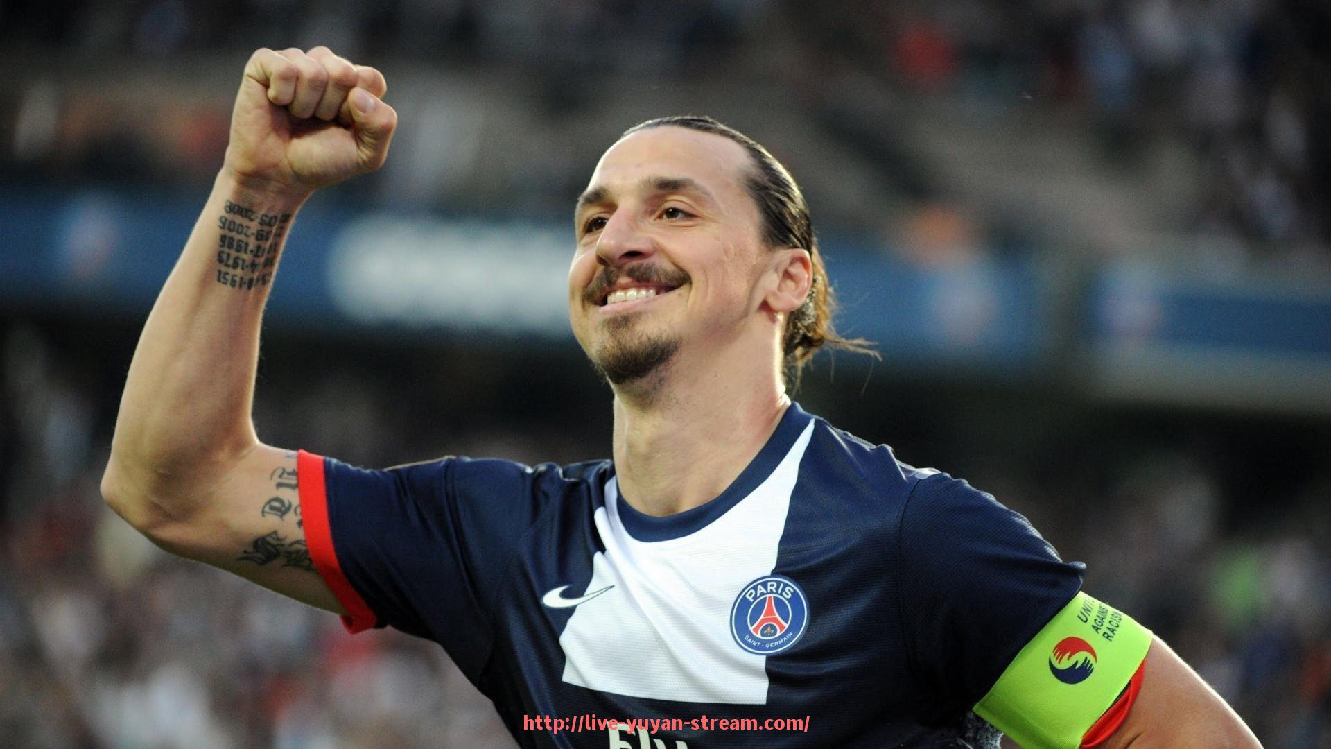 雨燕直播-法甲球员薪资统计与收入分配现状详细报告